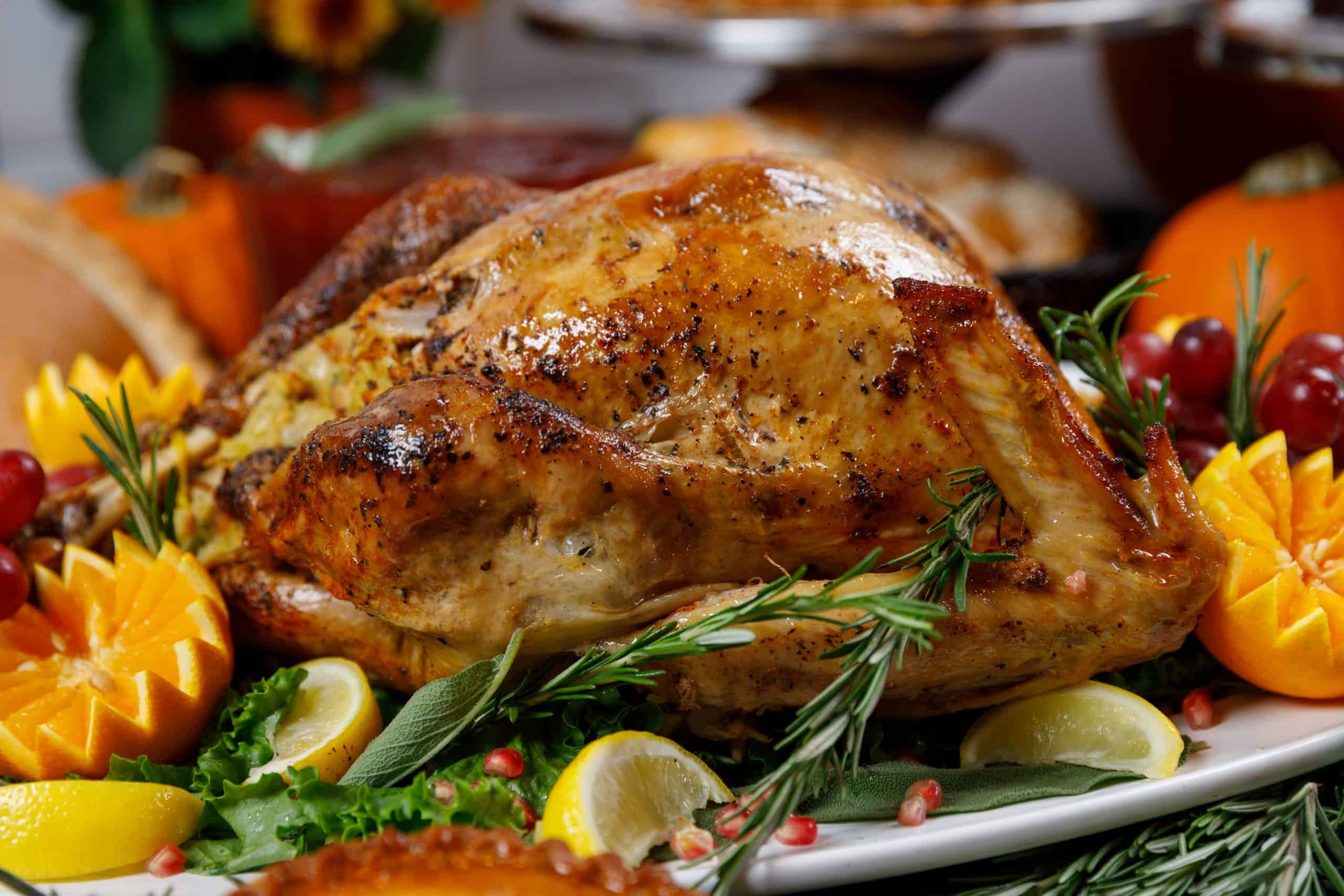 Book Your Thanksgiving At Lucky Dill Palm Harbor